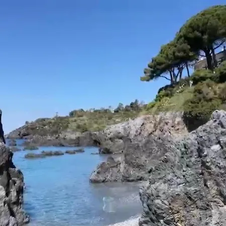 Vergine Scalea
